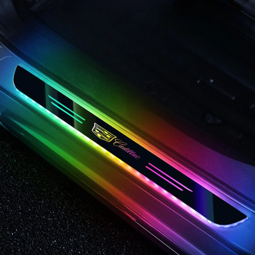Lote de 2 umbrales de puerta LED para coche